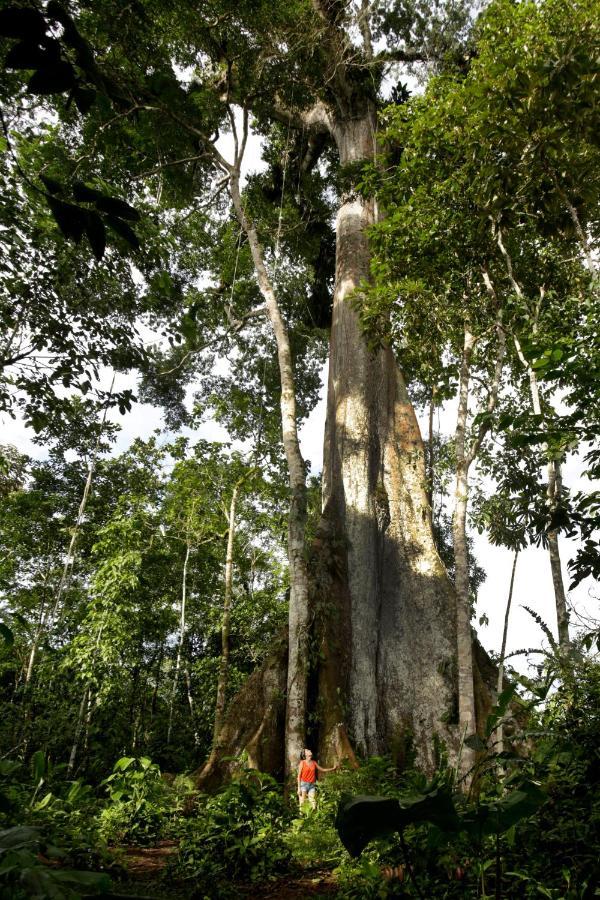Misahualli Amazon Lodge ภายนอก รูปภาพ