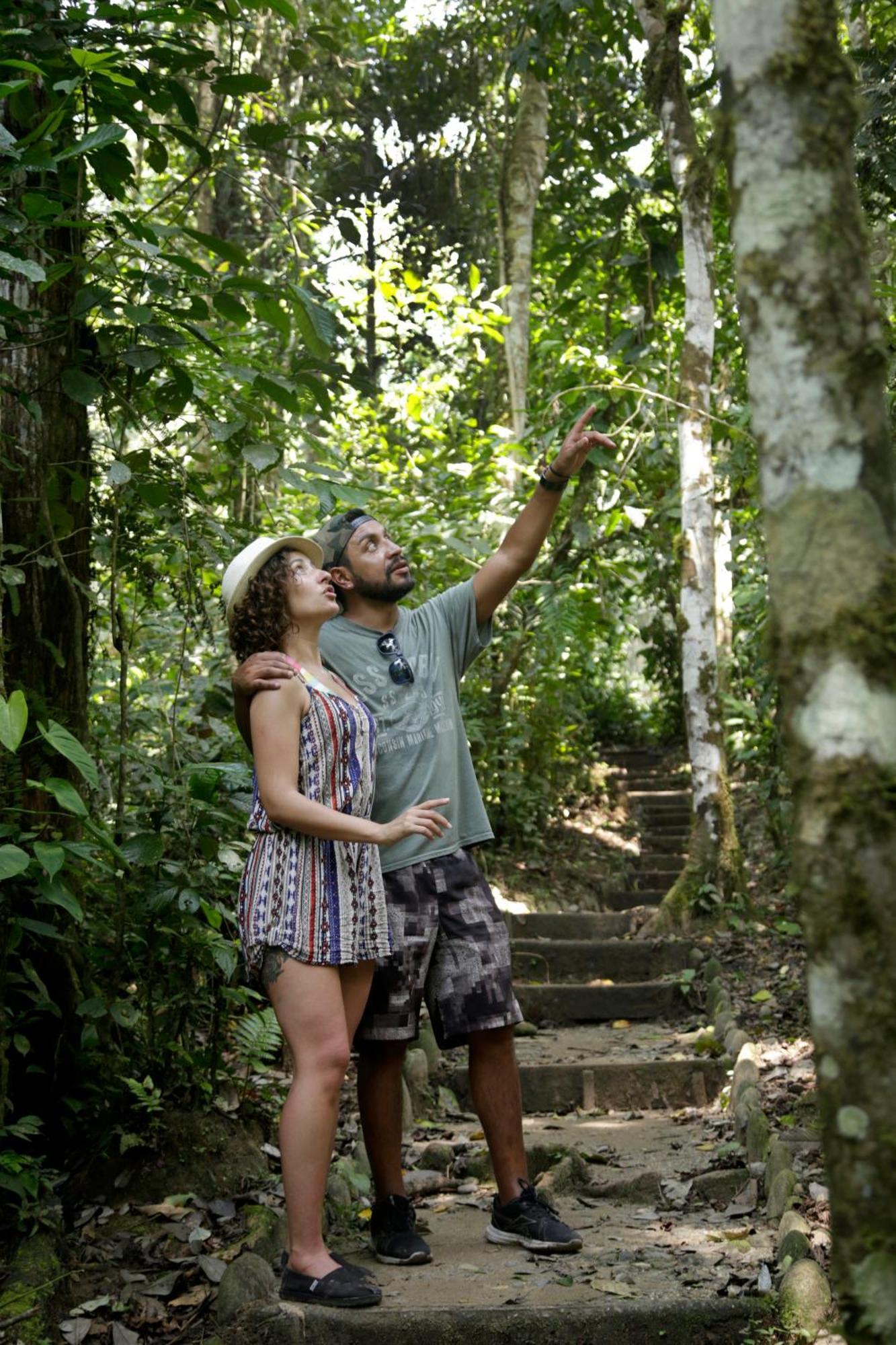 Misahualli Amazon Lodge ภายนอก รูปภาพ