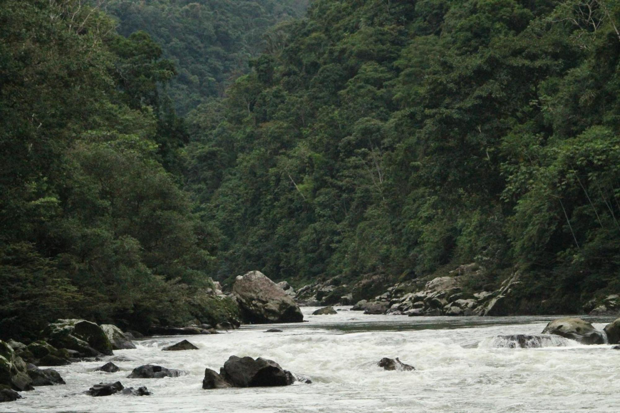 Misahualli Amazon Lodge ภายนอก รูปภาพ
